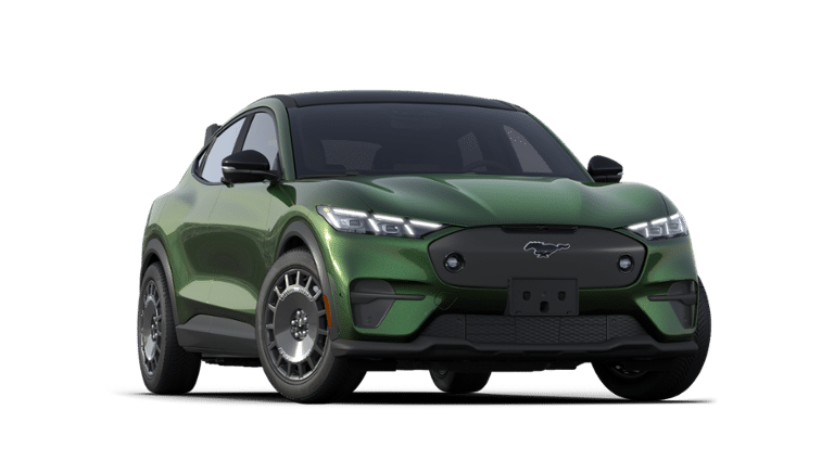 Mustang Mach-E® vehicle